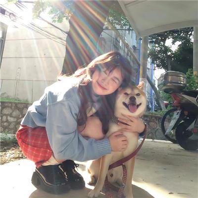 几度菊花香